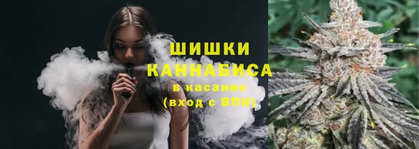 2c-b Краснослободск