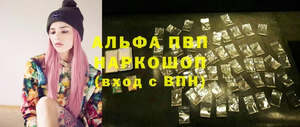 ПСИЛОЦИБИНОВЫЕ ГРИБЫ Новосибирск