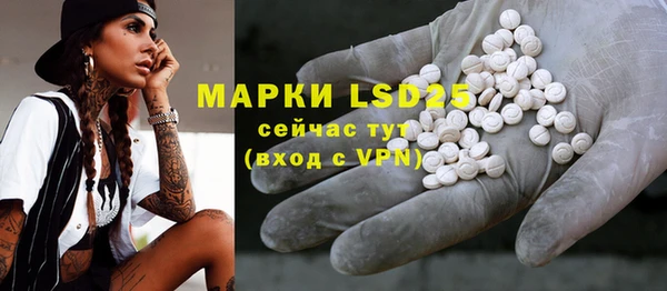 ПСИЛОЦИБИНОВЫЕ ГРИБЫ Новосибирск