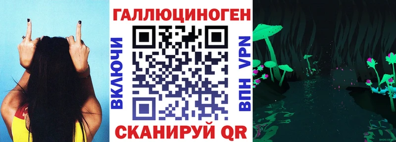 Купить где  Козловка  Псилоцибиновые грибы Psilocybe 